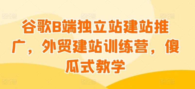 谷歌B端独立站建站推广，外贸建站训练营，傻瓜式教学-泡泡网赚