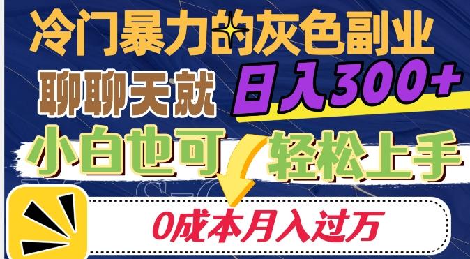 冷门暴利的副业项目，聊聊天就能日入300+，0成本月入过万【揭秘】-泡泡网赚