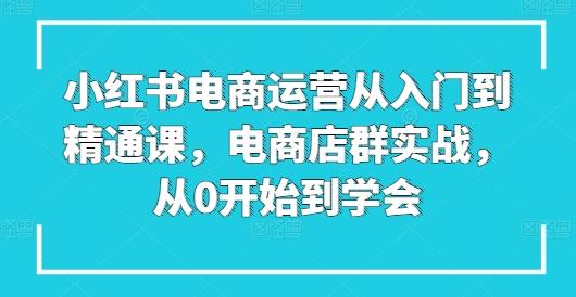 小红书电商运营从入门到精通课，电商店群实战，从0开始到学会-泡泡网赚