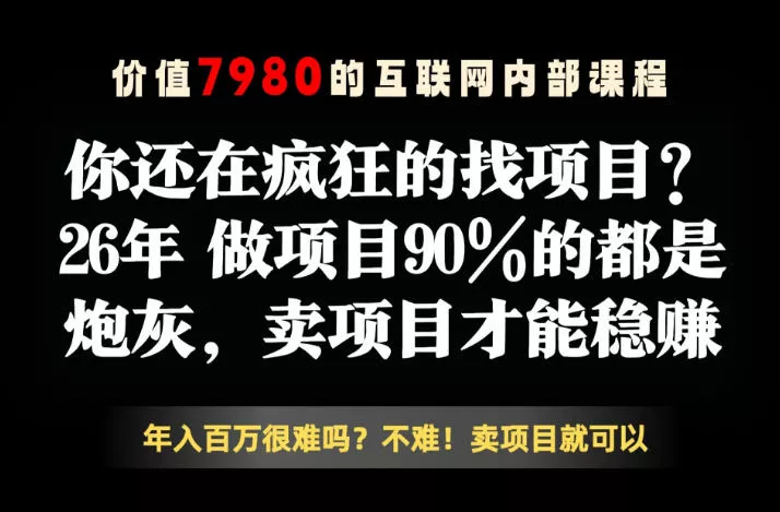 26年请不要疯狂的找项目了，卖项目远比你想象的暴利，你也可以月入10W+【揭秘】-泡泡网赚