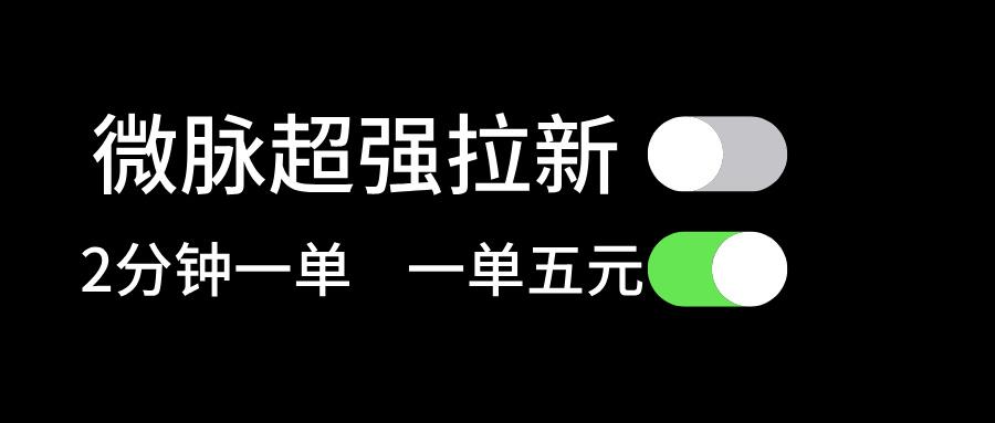微脉超强拉新， 两分钟1单， 一单利润5块，适合小白-泡泡网赚