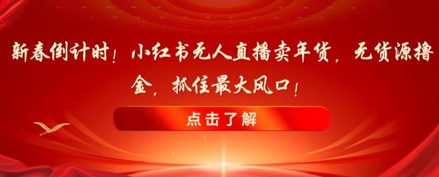 新春倒计时！小红书无人直播卖年货，无货源撸金，抓住最大风口【揭秘】-泡泡网赚