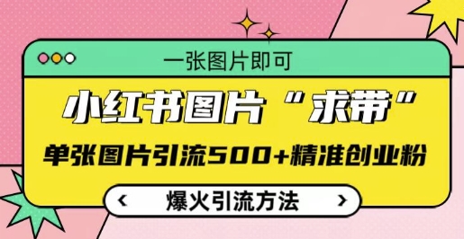 小红书图片‘求带’爆火引流法，单张图片引流500+精准创业粉【揭秘】-泡泡网赚