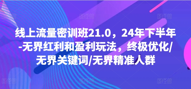 线上流量密训班21.0，24年下半年-无界红利和盈利玩法，终极优化/无界关键词/无界精准人群-泡泡网赚