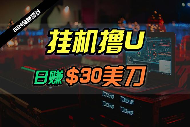 (10013期)日赚30美刀，2024最新海外挂机撸U内部项目，全程无人值守，可批量放大-泡泡网赚