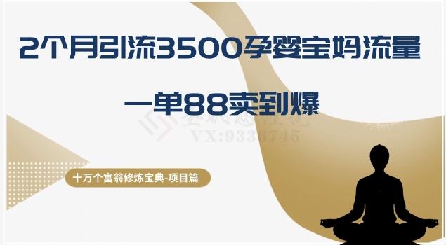 十万个富翁修炼宝典之13.2个月引流3500孕婴宝妈流量，一单88卖到爆-泡泡网赚