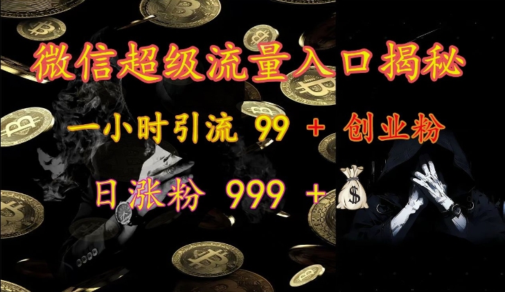 微信超级流量入口揭秘：一小时引流 99 + 创业粉，日涨粉 999 +-泡泡网赚