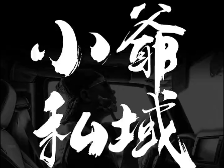 小爷·私域项目操盘手-泡泡网赚