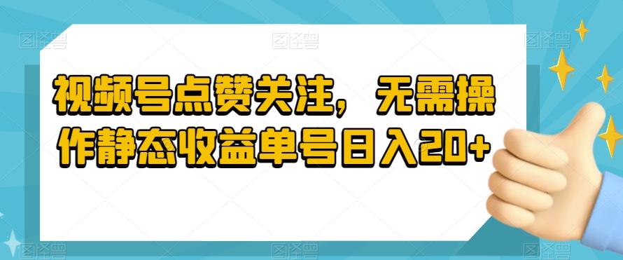 视频号点赞关注，无需操作静态收益单号日入20+-泡泡网赚