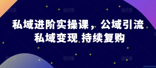 私域进阶实操课，公域引流 私域变现 持续复购-泡泡网赚