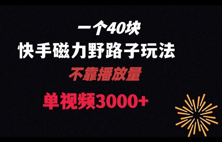 一个40块，快手联合美团磁力新玩法，无视机制野路子玩法，单视频收益4位数【揭秘】-泡泡网赚