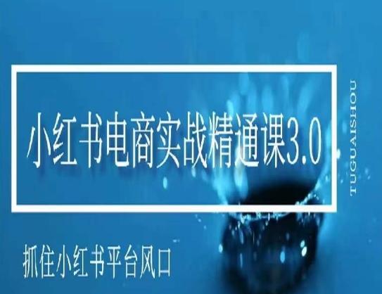 小红书电商实战精通课3.0，抓住小红书平台的风口，不错过有一个赚钱的机会-泡泡网赚