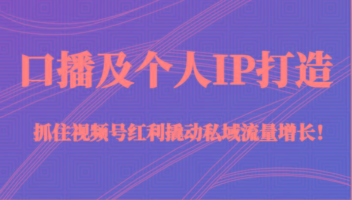 口播及个人IP打造，抓住视频号红利撬动私域流量增长！（45节课）-泡泡网赚