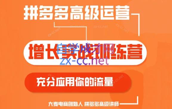 大麦老师·拼多多单品爆款打造课程(更新6月)-泡泡网赚