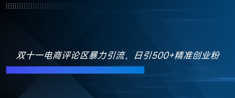 双十一电商评论区暴力引流，日引500+精准创业粉【揭秘】-泡泡网赚
