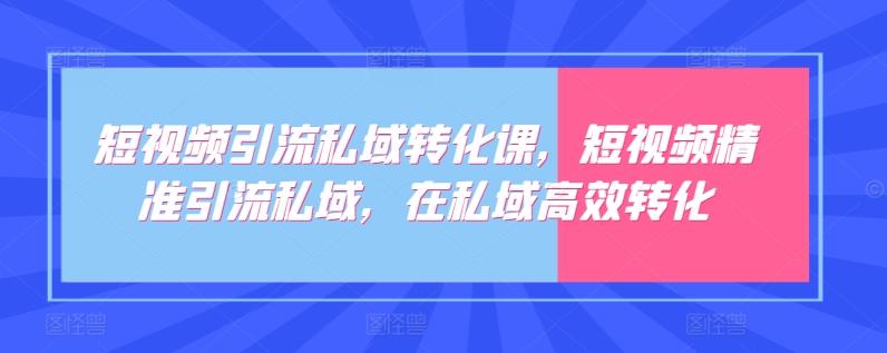 短视频引流私域转化课，短视频精准引流私域，在私域高效转化-泡泡网赚