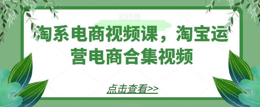 淘系电商视频课，淘宝运营电商合集视频-泡泡网赚