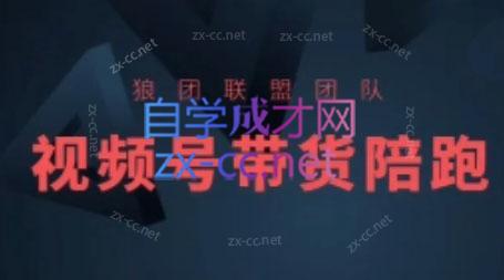 狼团联盟·2024视频号带货-泡泡网赚