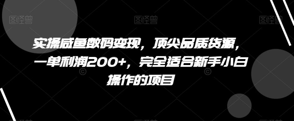 实操咸鱼数码变现，顶尖品质货源，一单利润200+，完全适合新手小白操作的项目【揭秘】-泡泡网赚