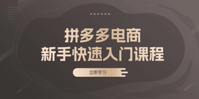 拼多多电商新手快速入门课程：涵盖基础、实战与选款，助力小白轻松上手-泡泡网赚
