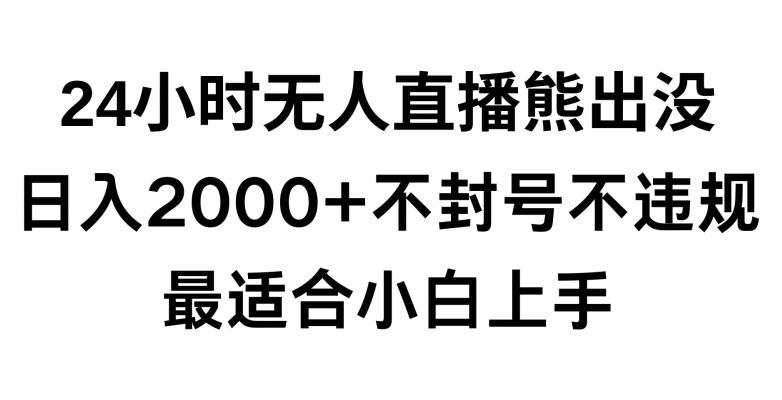 快手24小时无人直播熊出没，不封直播间，不违规，日入2000+，最适合小白上手，保姆式教学【揭秘】-泡泡网赚