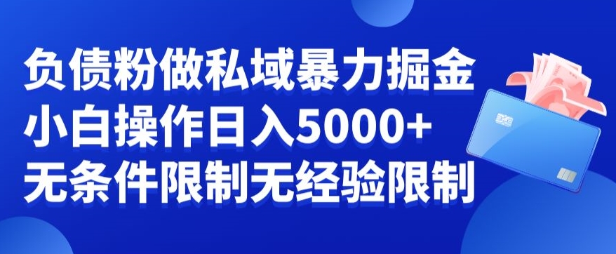 负债粉私域暴力掘金，小白操作入5000，无经验限制，无条件限制【揭秘】-泡泡网赚