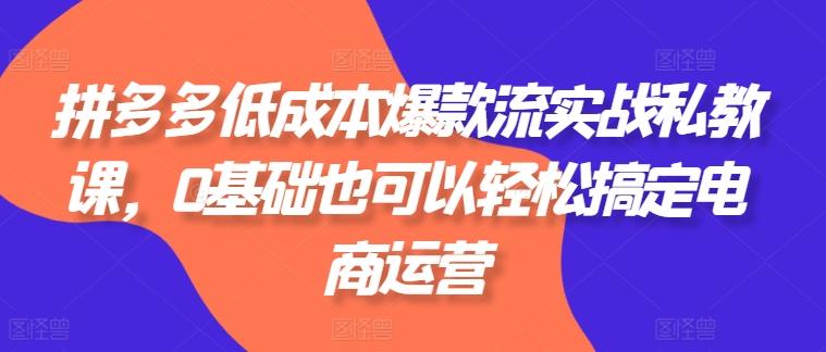拼多多低成本爆款流实战私教课，0基础也可以轻松搞定电商运营-泡泡网赚