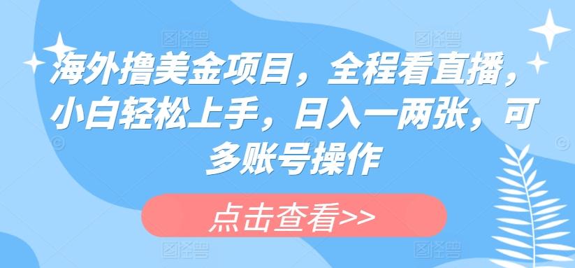 海外撸美金项目，全程看直播，小白轻松上手，日入一两张，可多账号操作【揭秘】-泡泡网赚