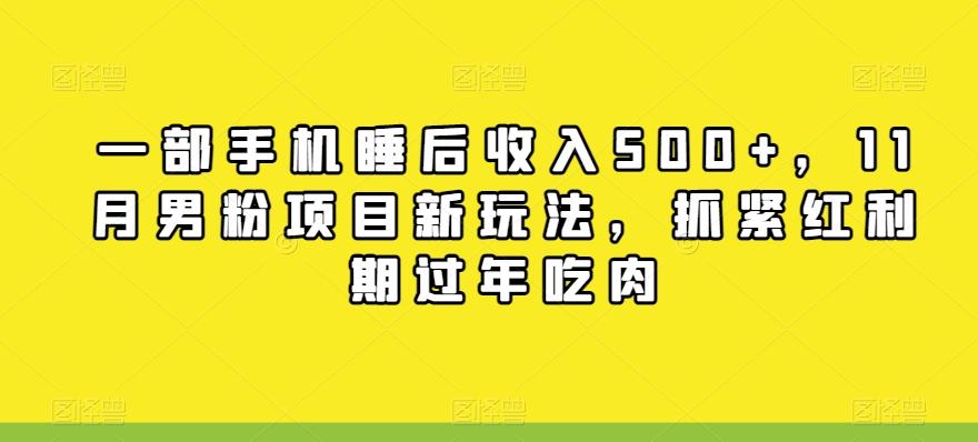一部手机睡后收入500+，11月男粉项目新玩法，抓紧红利期过年吃肉-泡泡网赚
