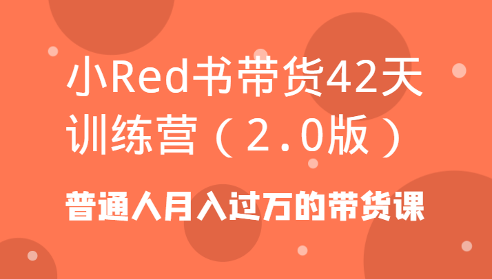 小Red书带货42天训练营(2.0版)普通人月入过万的带货课-泡泡网赚