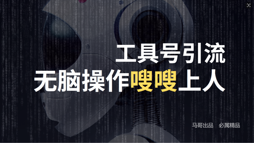 24年抖音最新工具号日引流300+创业粉，日入5000+-泡泡网赚