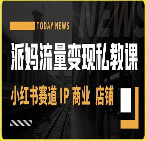 派妈流量变现私教课，小红书赛道IP  商业  店铺 -泡泡网赚