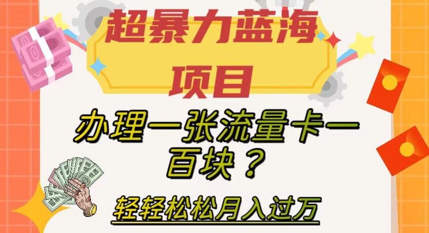 超暴力蓝海项目，办理一张流量卡一百块？轻轻松松月入过万，保姆级教程【揭秘】-泡泡网赚