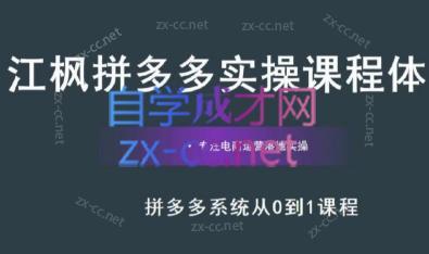 江枫老师·拼多多实操课程-泡泡网赚