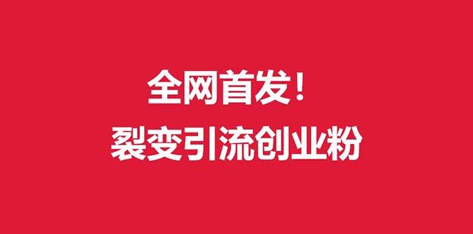 (全网首发)外面收费几千的裂变引流高质量创业粉-泡泡网赚