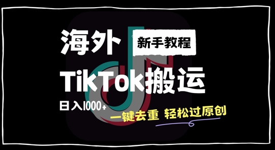 2024最新海外TikTok搬运玩法，一键去重轻松过原创，新手无经验也能日入1k【揭秘】-泡泡网赚
