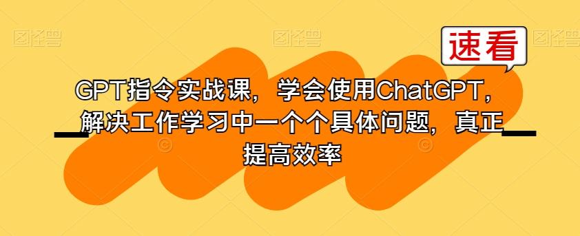 GPT指令实战课，学会使用ChatGPT，解决工作学习中一个个具体问题，真正提高效率-泡泡网赚