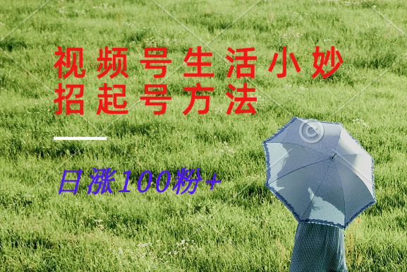 视频号生活小妙招分享赛道， 起号涨粉新方法，日涨100粉-泡泡网赚