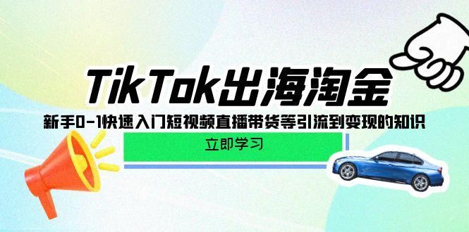 (10035期)TikTok-出海淘金，新手0-1快速入门短视频直播带货等引流到变现的知识-泡泡网赚