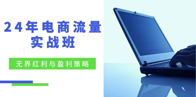 24年电商流量实战班：无界 红利与盈利策略，终极提升/关键词优化/精准…-泡泡网赚