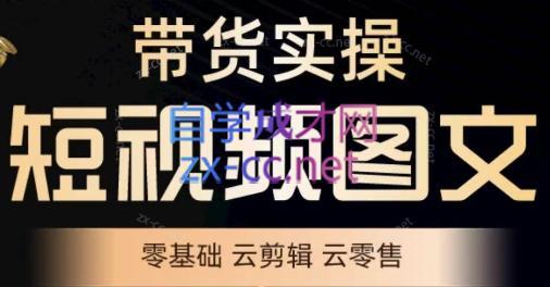 鑫哥·2024零基础短视频带货实操营-泡泡网赚