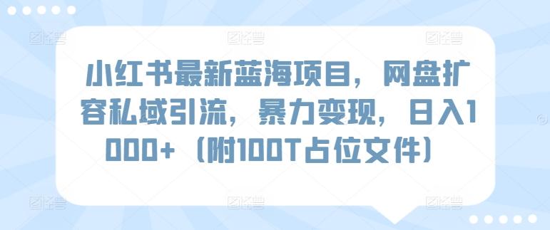 小红书最新蓝海项目，网盘扩容私域引流，暴力变现，日入1000+(附100T占位文件)【揭秘】-泡泡网赚