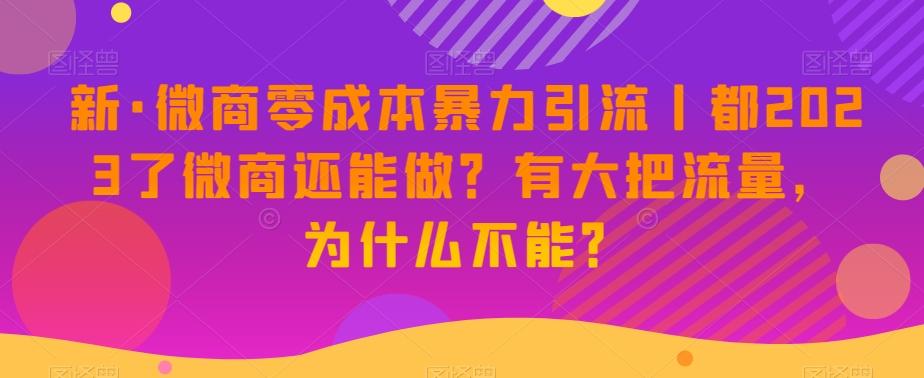 新·微商零成本暴力引流丨都2023了微商还能做？有大把流量，为什么不能？-泡泡网赚