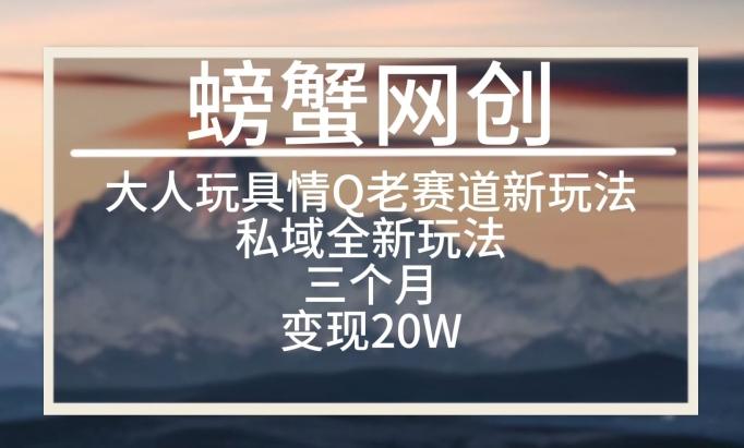 大人玩具情Q用品赛道私域全新玩法，三个月变现20W，老项目新思路【揭秘】-泡泡网赚