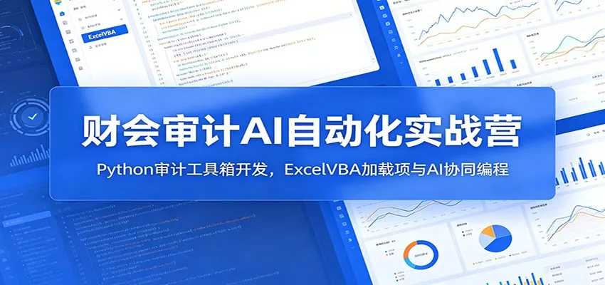 财会审计AI自动化实战营：Python审计工具箱开发，ExcelVBA加载项与AI协同编程-泡泡网赚